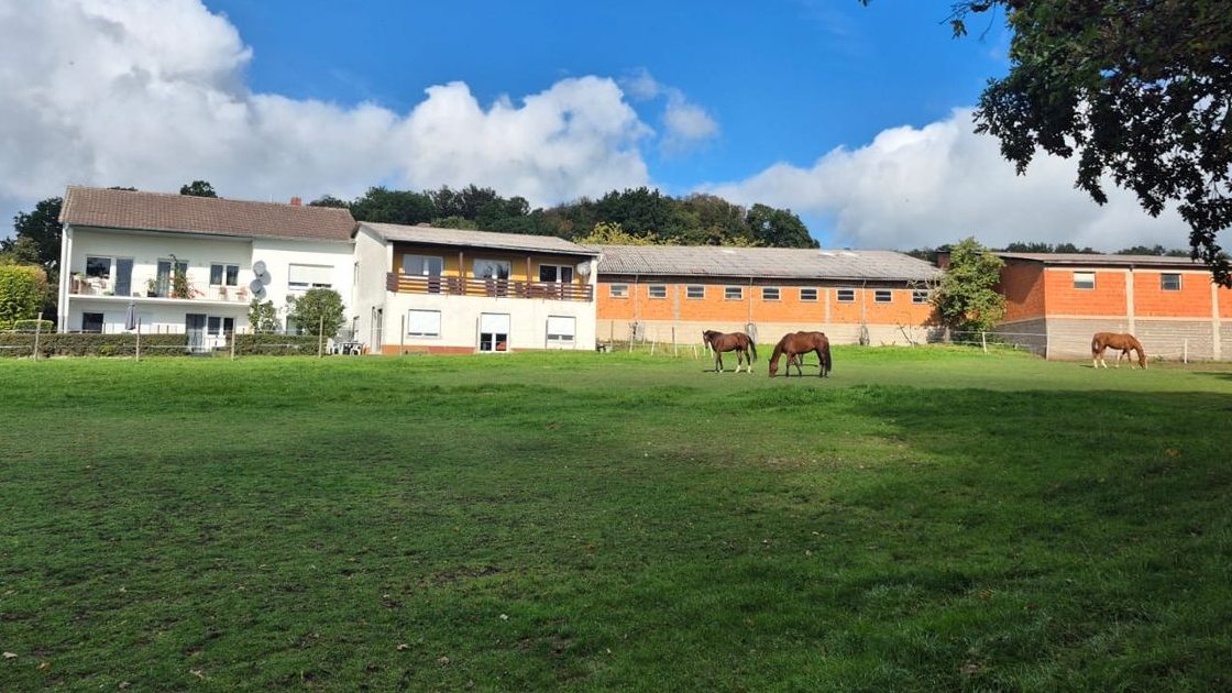 Das Haus mit den beiden Wohnungen, davor die Pferdeweide mit grasenden Pferden
