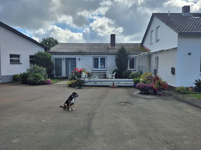 Hof mit Flachbau und Wohnhäusern, ein Hund sitzt auf dem Asphalt