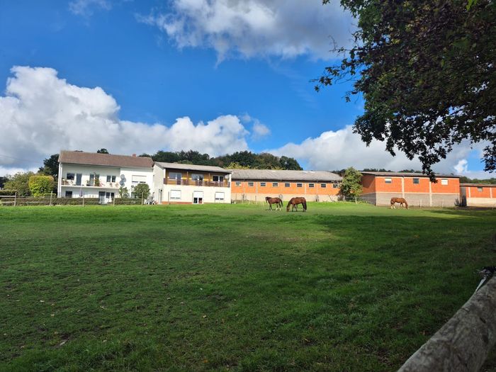 Weide mit Pferden und dem Haus im Hintergrund